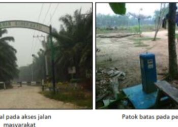 HGU PT Musim Mas Melewati Batas. LSM BARA API:Akan Laporkan Ke pihak Penegak Hukum dan satgas Gakum penertiban Kawasan Hutan 