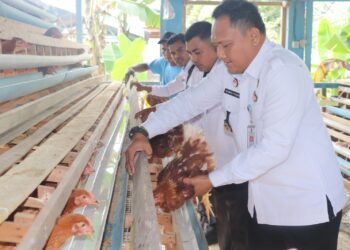 Perkuat Pembinaan dan Ketahanan Pangan : Lapas Pasir Pangarayan Berdayakan Ternak Ayam Petelur