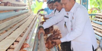 Perkuat Pembinaan dan Ketahanan Pangan : Lapas Pasir Pangarayan Berdayakan Ternak Ayam Petelur