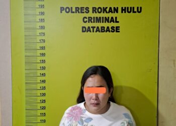 Pengungkapan Kasus Pencurian Di Rokan Hulu, Seorang Pelaku Diamankan