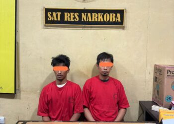 Dua Pengedar Narkotika Di Rokan Hulu Diciduk Res Narkoba, 19 Paket Sabu Dan Ganja Disita