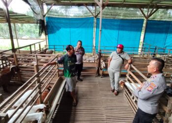 Sat Binmas Polres Rokan Hulu Kunjungi Peternakan Kambing “Nawasena Farm”, Dorong Ketahanan Pangan dan Kemandirian Ekonomi