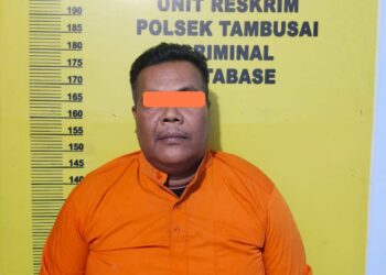 Polsek Tambusai Tangkap Pelaku Pencurian Kelapa Sawit di Rokan Hulu