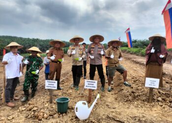 Tanam Jagung di Lahan PT AIP, Kapolres Siak, Upaya Dukung Pemerintah Wujudkan Swasembada Pangan.