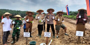 Tanam Jagung di Lahan PT AIP, Kapolres Siak, Upaya Dukung Pemerintah Wujudkan Swasembada Pangan.