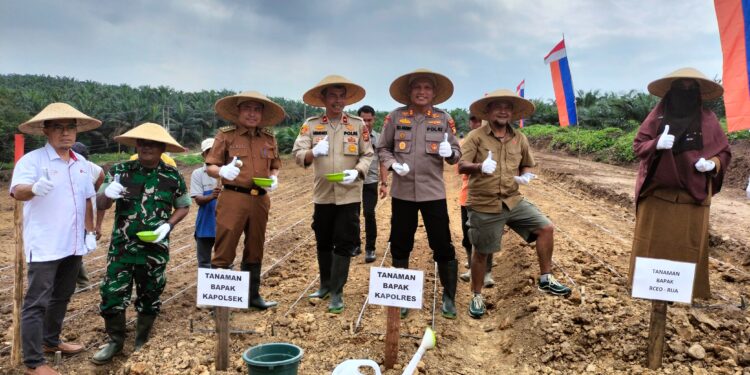 Tanam Jagung di Lahan PT AIP, Kapolres Siak, Upaya Dukung Pemerintah Wujudkan Swasembada Pangan.