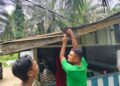 Barang Bukti Narkotika Diatas Atap Seng Berhasil Diungkap Polsek Bonai Darussalam