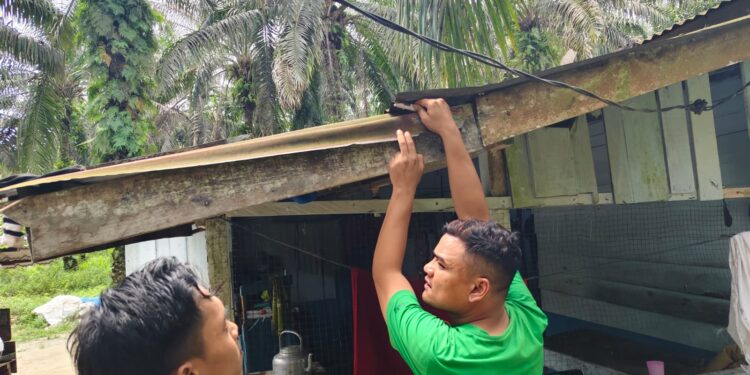 Barang Bukti Narkotika Diatas Atap Seng Berhasil Diungkap Polsek Bonai Darussalam