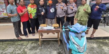 Layak Diapresiasi: Dibawah Pimpinan AKP Yohanes Berhasil Ungkap Bandar Narkotika Antar Provinsi Jenis Daun Ganja Kering Seberat 2 Kg