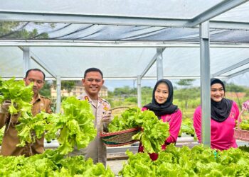 Launching Program Pekarangan Pangan Lestari (P2L) Di Polres Rokan Hulu