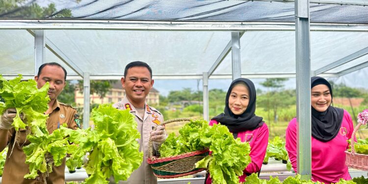 Launching Program Pekarangan Pangan Lestari (P2L) Di Polres Rokan Hulu