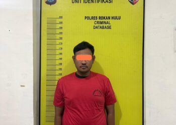 Dibawah Komando AKBP Budi, Gerak Cepat Satresnarkoba Tangkap Pengedar Sabu Di Sebuah Gubuk