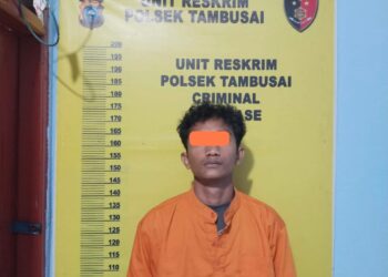 Gerak Cepat Polsek Tambusai Dipimpin AKP Hendri Berson Ungkap Kasus Pencurian Dengan Pemberatan Dan Pertolongan Jahat