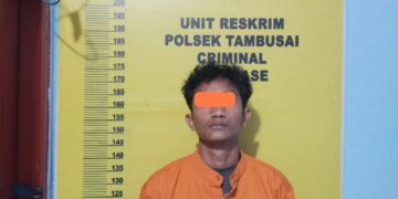 Gerak Cepat Polsek Tambusai Dipimpin AKP Hendri Berson Ungkap Kasus Pencurian Dengan Pemberatan Dan Pertolongan Jahat