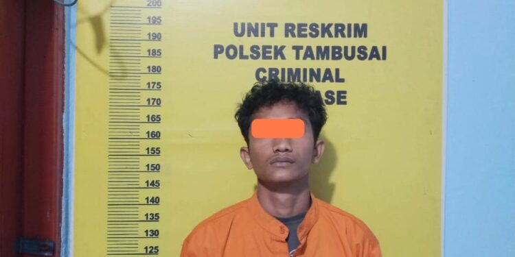 Gerak Cepat Polsek Tambusai Dipimpin AKP Hendri Berson Ungkap Kasus Pencurian Dengan Pemberatan Dan Pertolongan Jahat