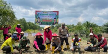 Kelompok Tani Berkah Alam Purnama Bersama Polsek Kempas dan Bhayangkari Tanam Jagung Dukung Program Ketahanan