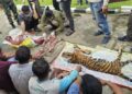 Polisi pergoki pasar daging harimau Sumatera di Desa Cipang Kiri Hilir, Rohul, enam pelaku diamankan.