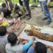 Polisi pergoki pasar daging harimau Sumatera di Desa Cipang Kiri Hilir, Rohul, enam pelaku diamankan.