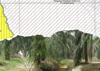 DPD LSM Bara Api Tantang Humas PT Musim Mas, Tunjukan Bukti kalau Berita Hoax Dugaan Operasional Kebun Sawit Di luar HGU dan konservasi, Namun Tak Mampu Lihatkan Data Kongkrit