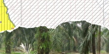 DPD LSM Bara Api Tantang Humas PT Musim Mas, Tunjukan Bukti kalau Berita Hoax Dugaan Operasional Kebun Sawit Di luar HGU dan konservasi, Namun Tak Mampu Lihatkan Data Kongkrit