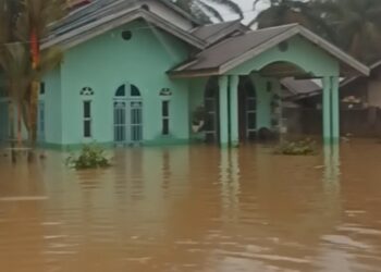 Akibat Curah Hujan yang Tinggi, Desa Rambah, Kec. Rambah Hilir Terendam Banjir
