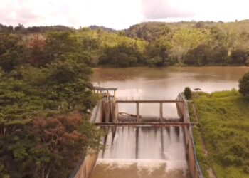 Dampak Parah Perambahan Hutan: Tiga Bendungan Mengalami Pendangkalan, Irigasi Pertanian Terancam, dan Risiko Banjir Meningkat