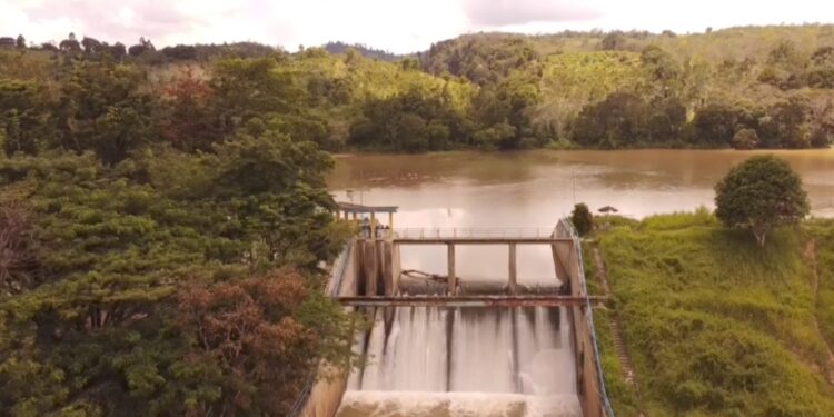 Dampak Parah Perambahan Hutan: Tiga Bendungan Mengalami Pendangkalan, Irigasi Pertanian Terancam, dan Risiko Banjir Meningkat