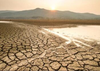 BMKG Sebut Musim Kemarau 2025 Lebih Singkat di Beberapa Wilayah, Ini Prediksi Puncak Kekeringan