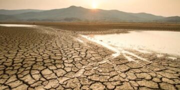 BMKG Sebut Musim Kemarau 2025 Lebih Singkat di Beberapa Wilayah, Ini Prediksi Puncak Kekeringan