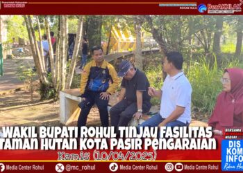 Wakil Bupati Rohul Intruksikan Atasi Sampah di Sekitar Taman Hutan Kota Pasir Pengaraian