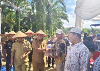 Dorong Pertanian Maju, Bupati Rohul Serahkan Bantuan Traktor dan Bibit Padi di Desa Pasir Maju