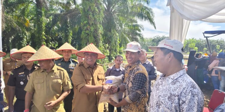Dorong Pertanian Maju, Bupati Rohul Serahkan Bantuan Traktor dan Bibit Padi di Desa Pasir Maju