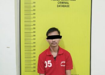 Berantas Narkotika, Satresnarkoba Polres Rohul Amankan 277,35 Gram Ganja di Bangun Purba