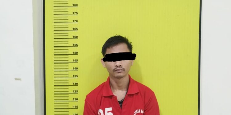 Berantas Narkotika, Satresnarkoba Polres Rohul Amankan 277,35 Gram Ganja di Bangun Purba