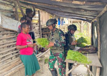 Mereka Datang dengan Sayur dan Luka, Satgas TNI Hadiahkan dengan Senyum dan Harapan