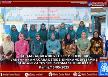 HKG Ke-53, TP. PKK Rohul Taja Acara Deteksi Dini Kanker Serviks dengan IVA Tes di Puskesmas Ujung Batu