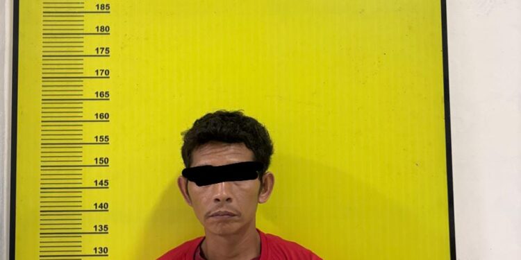 Polres Rohul Ciduk Bandar dan Pengedar Narkotika dari Sumut, Amakan 32,04 Gram Sabu