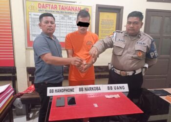 Hendak Transaksi Di Kebun Sawit, Seorang Pemuda Diamankan Polsek Rambah Hilir