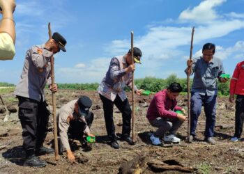 Sambangi PT Bina Daya Bintala, Kapolsek IPTU Romi Yendri Gelar Penanaman Benih Jagung