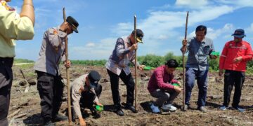 Sambangi PT Bina Daya Bintala, Kapolsek IPTU Romi Yendri Gelar Penanaman Benih Jagung