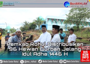 Pemkab Rohul Distribusikan 96 Hewan Qurban Jelang Idul Adha 1446 H