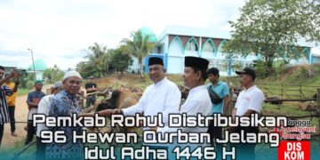 Pemkab Rohul Distribusikan 96 Hewan Qurban Jelang Idul Adha 1446 H