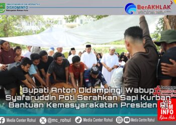Bupati Anton didampingi Wabup Syafaruddin Poti Serahkan Sapi Kurban Bantuan Kemasyarakatan Presiden RI