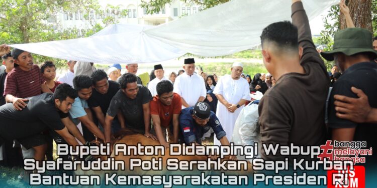 Bupati Anton didampingi Wabup Syafaruddin Poti Serahkan Sapi Kurban Bantuan Kemasyarakatan Presiden RI