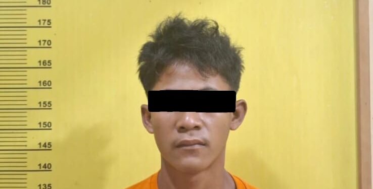 Curi Hp Temannya, Remaja Dibawah Umur Diamankan Polsek Tambusai Utara