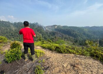 Aktivis Lingkungan Tinjau Langsung Lokasi Kebakaran Hutan di Kawasan Bendungan Kaiti-Sipogas