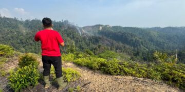 Aktivis Lingkungan Tinjau Langsung Lokasi Kebakaran Hutan di Kawasan Bendungan Kaiti-Sipogas