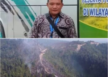 Karhutla Kembali Terjadi Di Rohul, Ketua DPC PJS Minta Proses Hukum Tegas