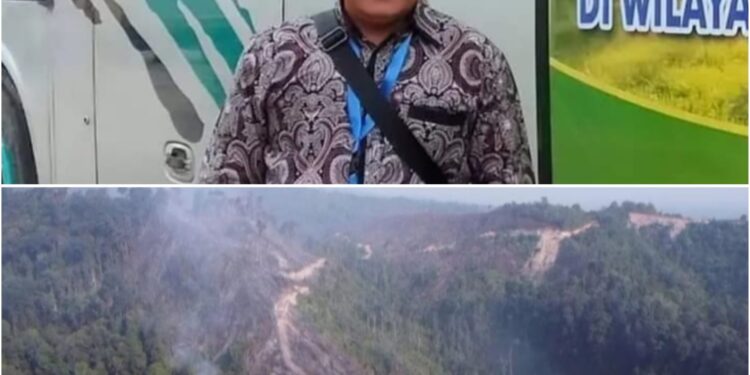 Karhutla Kembali Terjadi Di Rohul, Ketua DPC PJS Minta Proses Hukum Tegas