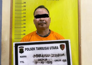 Polsek Tambusai Utara Amankan Pelaku Penganiayaan di Afdeling X PT. Torganda